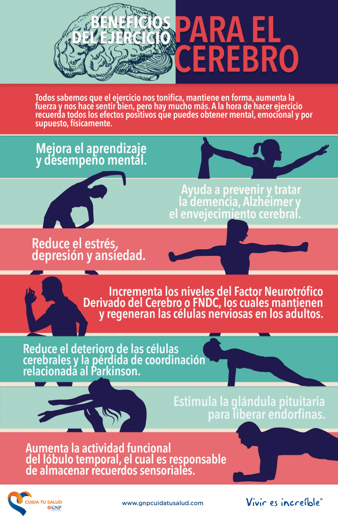 Beneficios Del Ejercicio Para El Cerebro - GNP Cuida Tu Salud