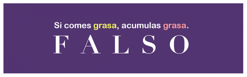 La Función De Las Grasas En El Organismo - GNP Cuida Tu Salud