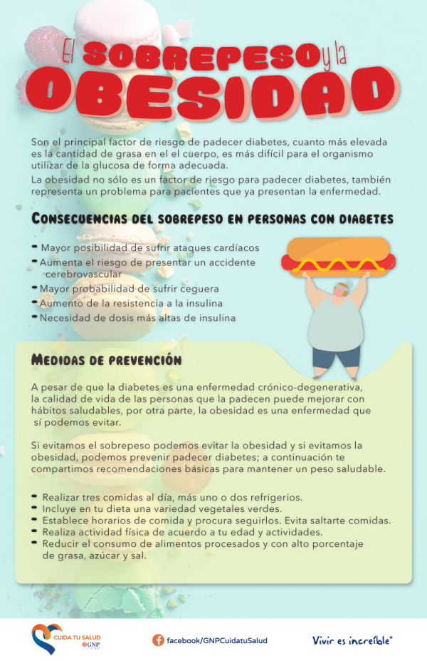 El Sobrepeso Y La Obesidad - GNP Cuida Tu Salud