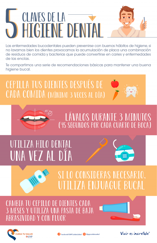 Higiene Dental Archivos - GNP Cuida Tu Salud