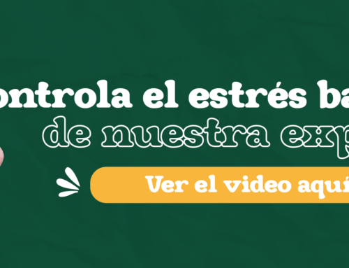 Controla el estrés bajo la guía de una experta