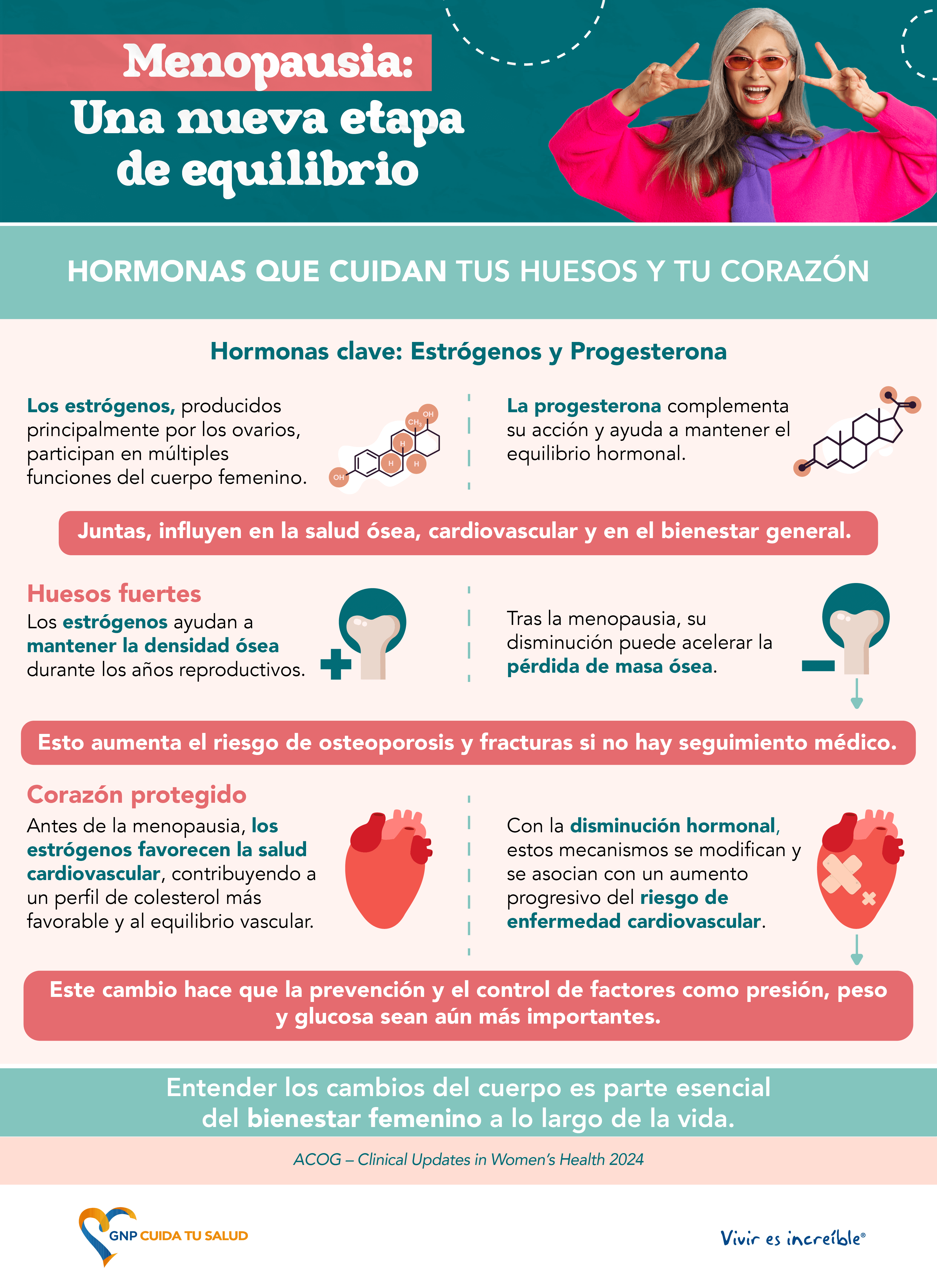 Infografía sobre menopausia y equilibrio hormonal explicando cómo los estrógenos y la progesterona influyen en la salud ósea y cardiovascular.