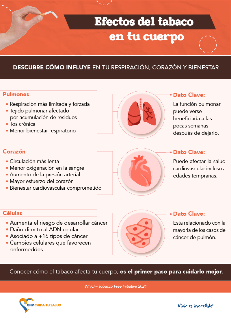 Efectos del tabaco en tu cuerpo
