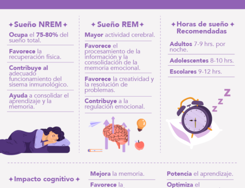 El turno nocturno de tu cerebro